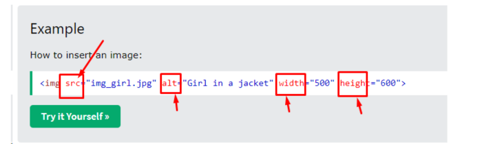 Example of an img tag in html